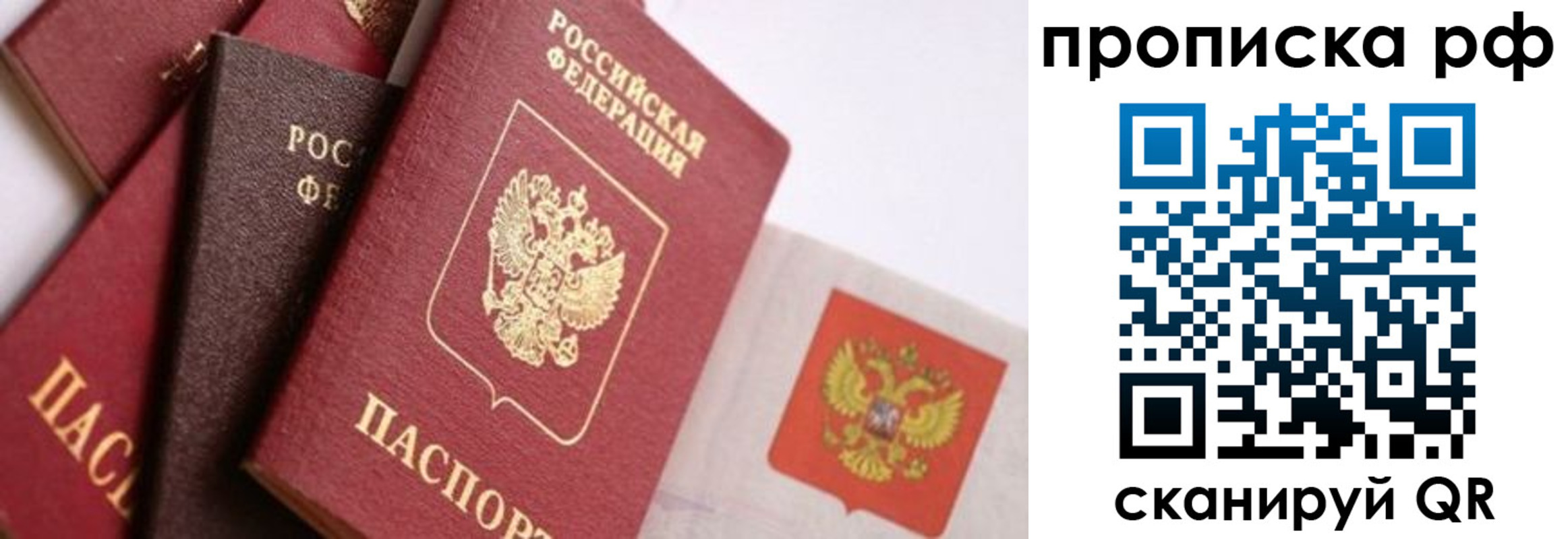 прописка ребенка в Пионерском